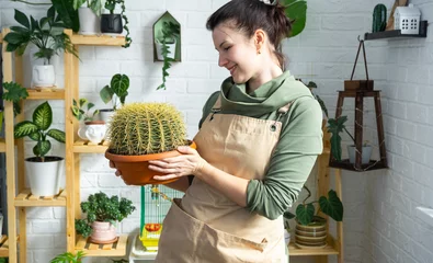 Papier Peint photo autocollant Cactus Large echinocactus Gruzoni in the hands of a woman in the interior of a green house with shelving collections of domestic plants. Home crop production, plant breeder admiring a cactus in a pot