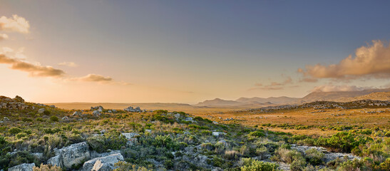The wilderness of Cape Point National Park. The wilderness of Cape Point National Park, Western Cape, South Africa.