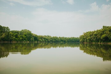Beautiful view of a tranquil lake surrounded by lush forestry
