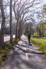 Fototapeta na wymiar Rear view of cyclist enjoys a leisurely ride on a sunny spring day in the park, taking in the beautiful landscape and exercising for a healthy lifestyle.