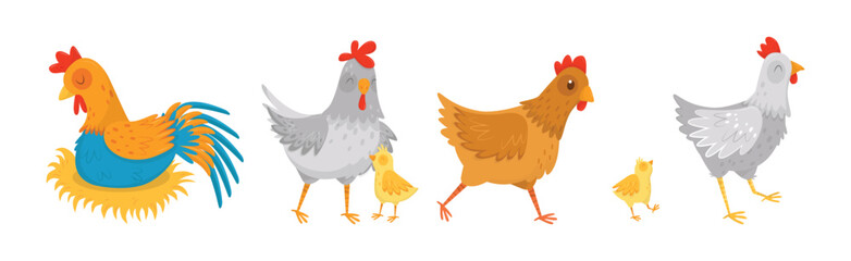 Hen and Cockerel with Chicks and Hay Nest Vector Set