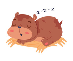 Cute Hamster Character with Stout Body Lying on Hay and Sleeping Vector Illustration