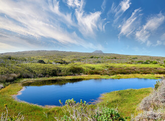 Fototapeta na wymiar Waterhole in th wilderness of Cape Point National Park. Small waterhole in the wilderness of Cape Point National Park, Western Cape, South Africa.