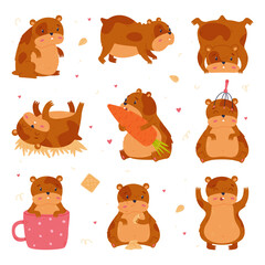 Cute hamster in everyday activities set. Funny brown pet rodent eating, sleeping and relaxing cartoon vector illustration