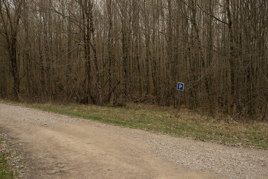 Forest parking lot with blue traffic sign with inscription capital P on a forest path with many young bare beech trees in early spring