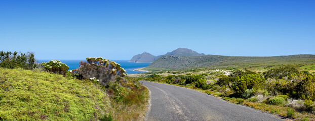 The wilderness of Cape Point National Park. Road through the wilderness of Cape Point National...