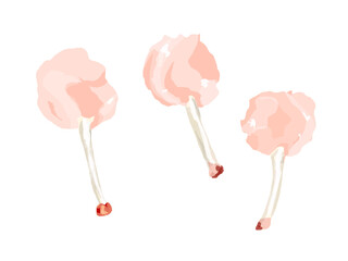 日常の食品シリーズ鶏肉　手羽肉のチューリップ3本