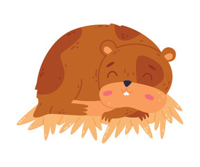 Cute funny pet hamster sleeping on straw cartoon vector illustration