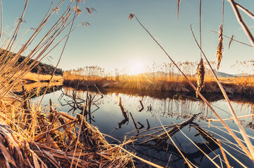Hopfensee Allg&auml;u