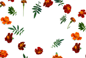 Marigold ( Tagetes ) flowers  on a white background with space for text. Top view, flat lay