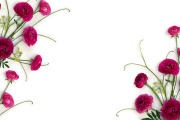 Pink flowers buttercups on a white background with space for text. Top view, flat lay - obrazy, fototapety, plakaty