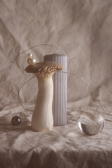 boho and kinfolk design. composition from different items.candle, mushroom, wire on crumpled textiles. still life, abstract modern art design concept.