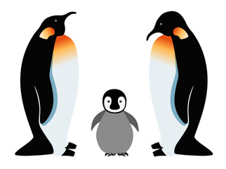 Vector illustration of a penguins family isolated on a white background. A baby and his parents, north pole
