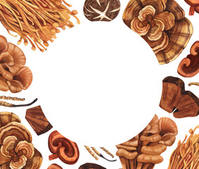 Watercolor medicinal mushroom frame, adaptogenic plant. Hand-drawn illustration isolated on white background. Perfect concept for healthy chinese medicine popular superfood, design packing.