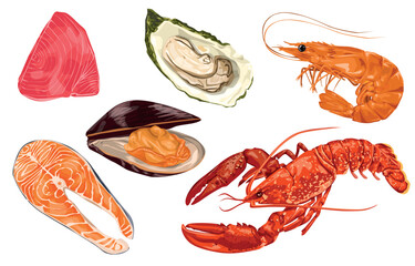 Seafood in cartoon style. Vector icons of mussels, fish salmon, shrimp, lobster, male, clam, oyster, alfonsino and tuna. realistic big set