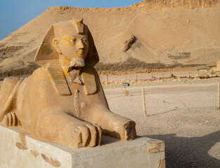 The sphinx in front of the mortuary temple of Hatshepsut in Luxor in Egypt