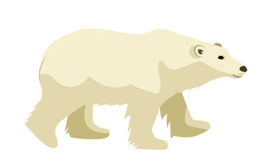 Vector illustration of a polar bear isolated on a white background. Arctic animal.