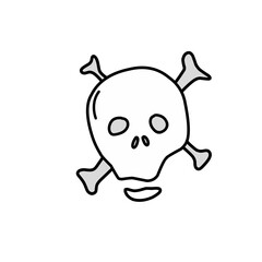 skull bone