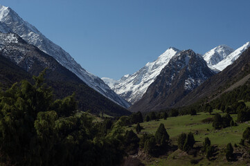 Alamedin river gorge spring mountain landscape