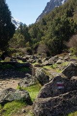 Alamedin river gorge spring mountain landscape