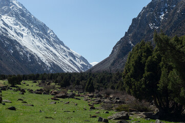 Alamedin river gorge spring mountain landscape