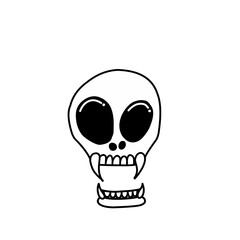 skull bone illustration