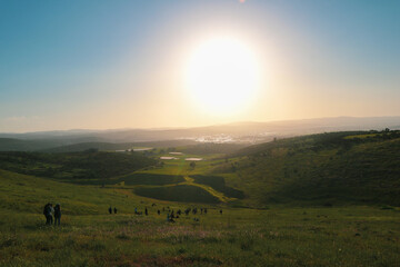 a group of people standing on top of a lush green hillside