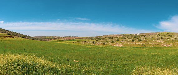 a grassy field with a hill in the background