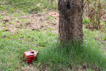 Red birdhouse fallen from tree.