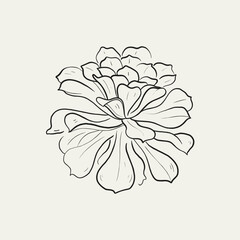 Botanical drawing. Minimal plant logo, botanical graphic sketch drawing,  meadow greenery, leaf and blooming flower abstract sketch element collection, rustic branch. Trendy tiny tattoo design, floral