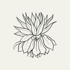 Botanical drawing. Minimal plant logo, botanical graphic sketch drawing,  meadow greenery, leaf and blooming flower abstract sketch element collection, rustic branch. Trendy tiny tattoo design, floral
