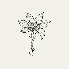 Botanical drawing. Minimal plant logo, botanical graphic sketch drawing,  meadow greenery, leaf and blooming flower abstract sketch element collection, rustic branch. Trendy tiny tattoo design, floral