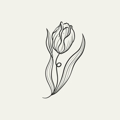 Naklejka premium Botanical drawing. Minimal plant logo, botanical graphic sketch drawing, meadow greenery, leaf and blooming flower abstract sketch element collection, rustic branch. Trendy tiny tattoo design, floral
