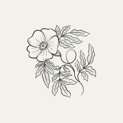 Botanical drawing. Minimal plant logo, botanical graphic sketch drawing,  meadow greenery, leaf and blooming flower abstract sketch element collection, rustic branch. Trendy tiny tattoo design, floral