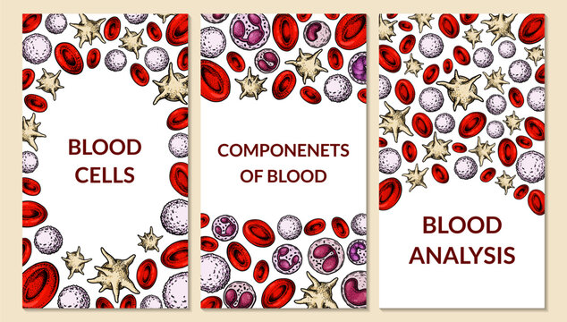 Set of blood cells backgrounds. Design for blood test, anemia, donation, hemophilia, laboratory scientific research concepts. Vector illustration in sketch style