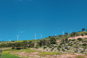a large field of green grass with wind mills in the background