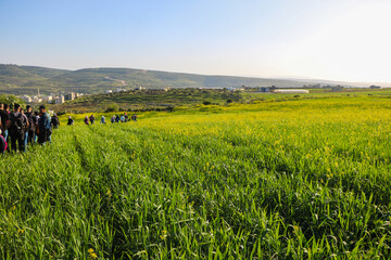 a grassy field with a hill in the background