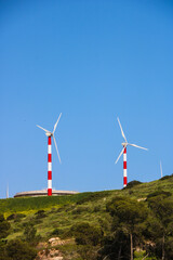 a large field of green grass with wind mills in the background