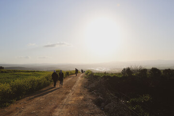 a dirt road in a grassy field with a mountain