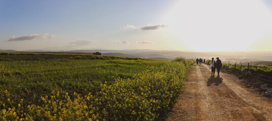 a dirt road in a grassy field with a mountain