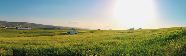 a grassy field with a hill in the background