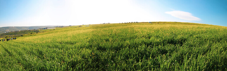 a grassy field with a hill in the background