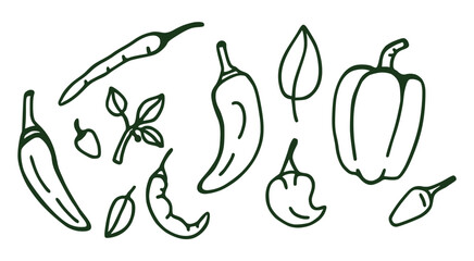 Banner. Different types of pepper, background. Vector background with handmade emblems. Sketchy design.