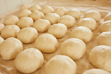 Fototapeta na wymiar Yeast dough for buns