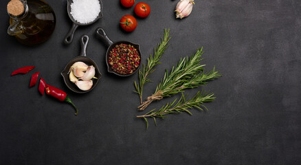 Obraz na płótnie Canvas Miniature pans with spices, salt, black pepper and fragrant pepper, a sprig of rosemary on a black table. Spices for cooking