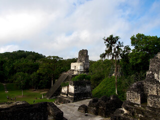Fototapeta na wymiar Tikal, Guatemala - 18.03.2019: A Mayan temple in Tikal