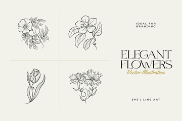 Botanical drawing. Minimal plant logo, botanical graphic sketch drawing,  meadow greenery, leaf and blooming flower abstract sketch element collection, rustic branch. Trendy tiny tattoo design, floral