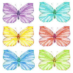 A set of colored moths. Watercolor illustration, poster.