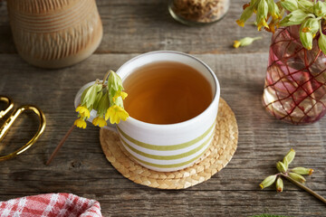 Primula or cowslip tea in a cup