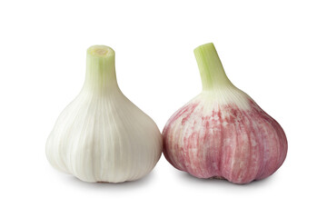 Obraz premium Raw garlic. Garlic heads isolated on a white